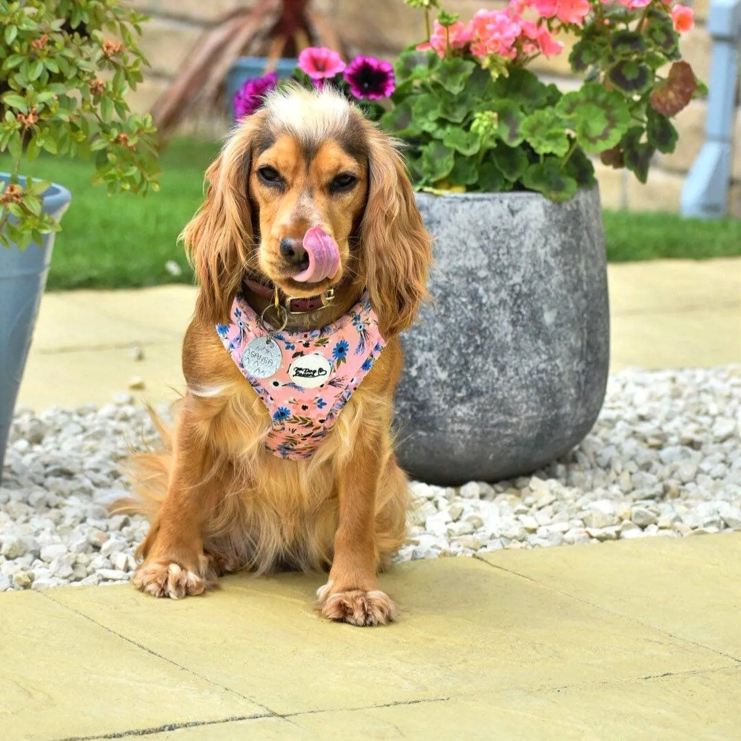 Adjustable Dog Harness Flower Child