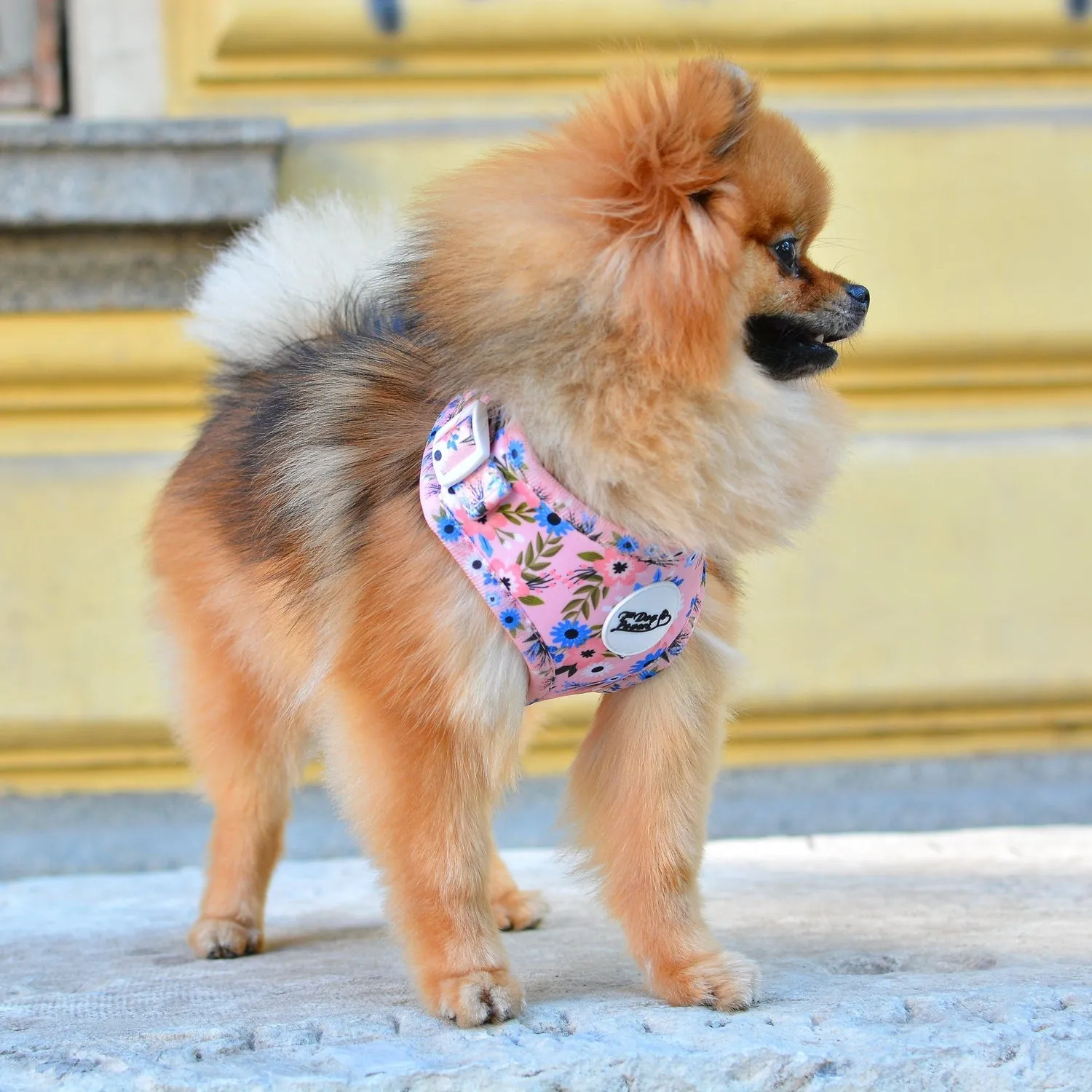 Adjustable Dog Harness Flower Child