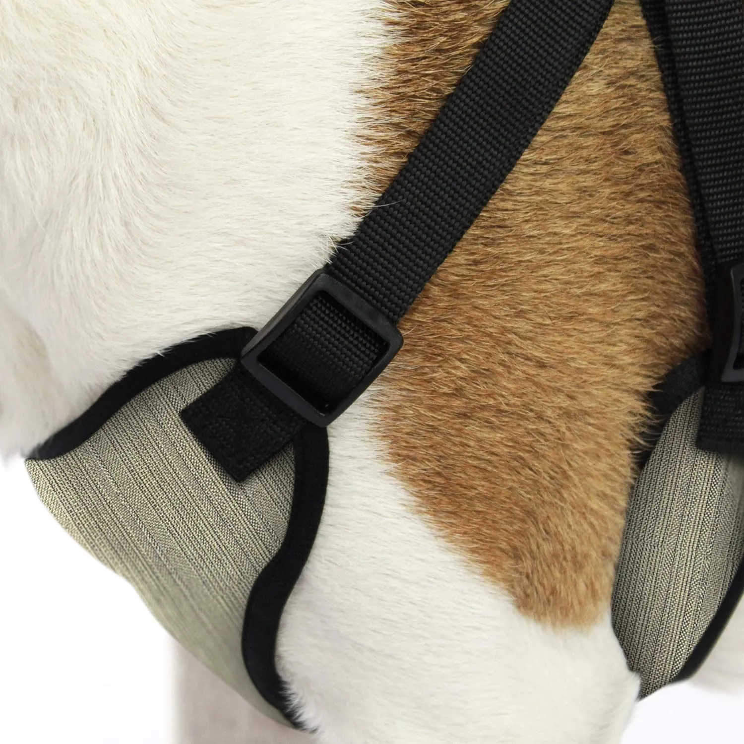 AKC Premium Padded Step-in Dog Harness  Soft Comfort Fit with Dual D-Ring No Pull Control  Small, Medium, Large  Blue, Gray, Green, Tan