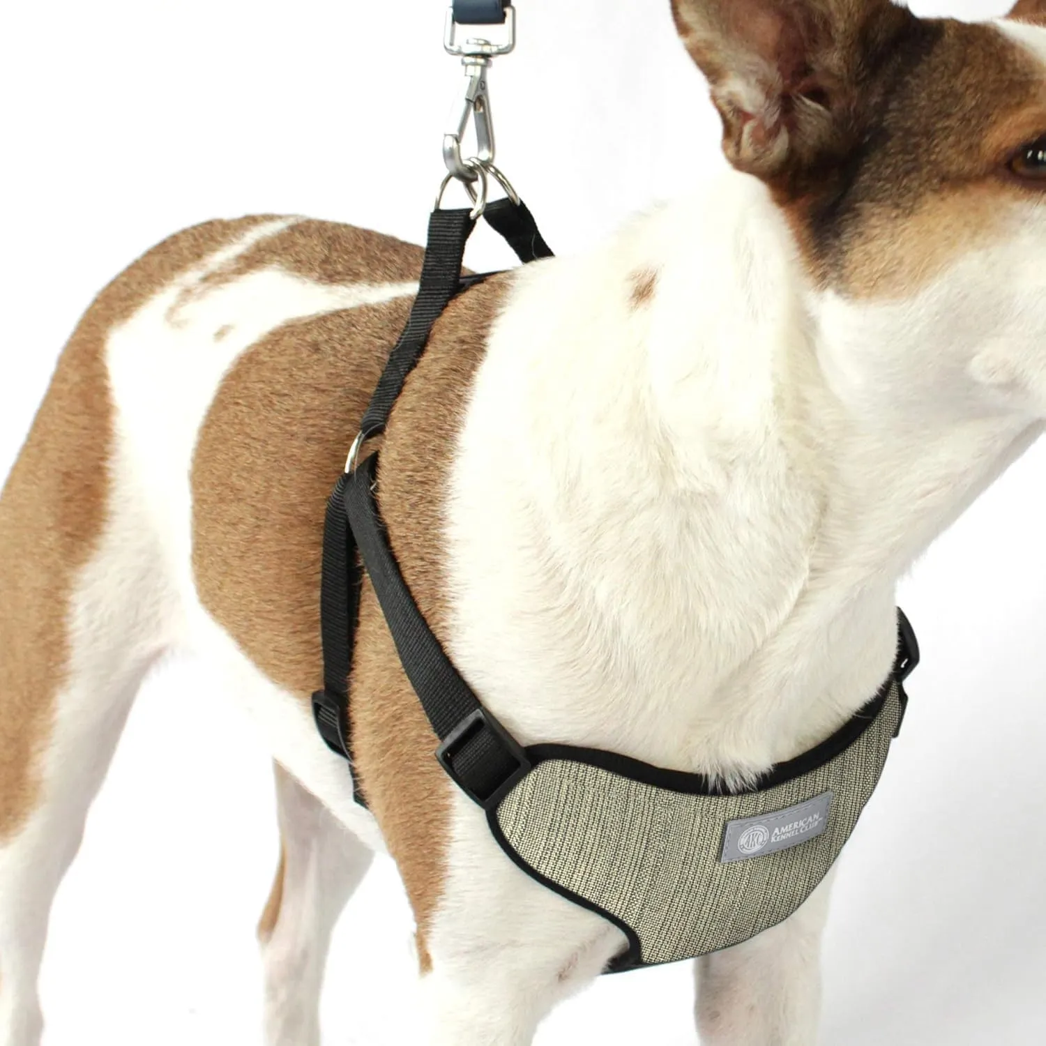 AKC Premium Padded Step-in Dog Harness  Soft Comfort Fit with Dual D-Ring No Pull Control  Small, Medium, Large  Blue, Gray, Green, Tan