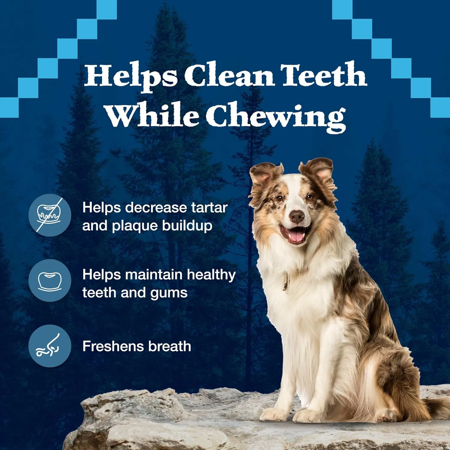 Blue Buffalo Wilderness Wild Bones Grain-Free Dental Chews Dog Treats, Medium, 10-oz Bag