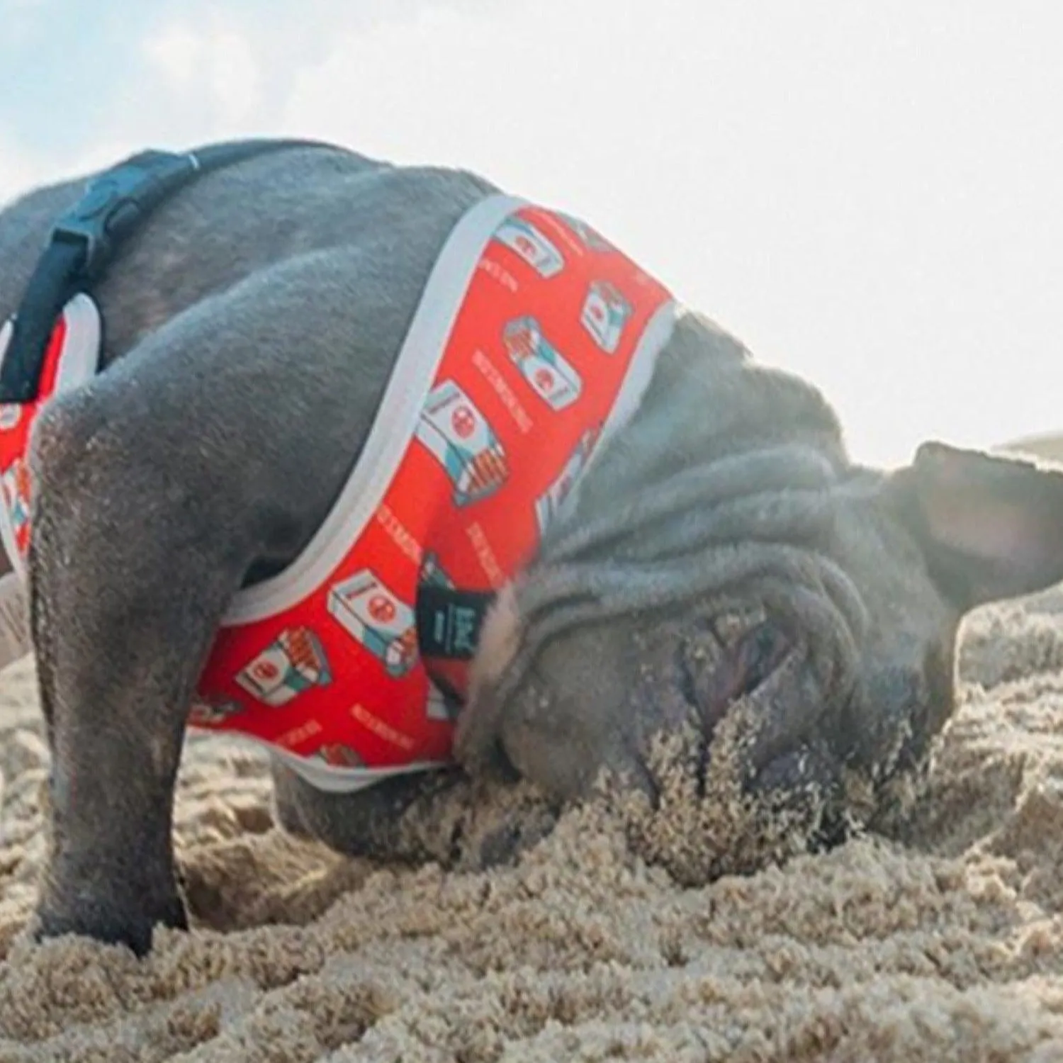 Bond For Love Dog Vest Harness - Tobacco