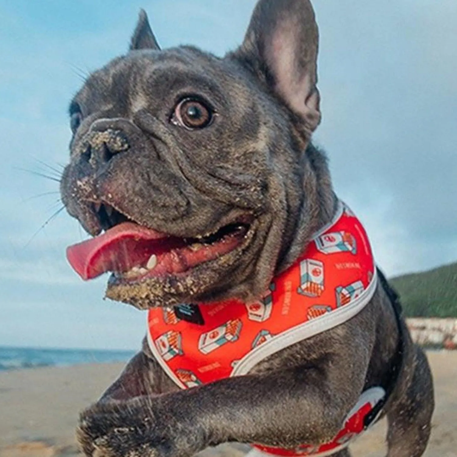 Bond For Love Dog Vest Harness - Tobacco
