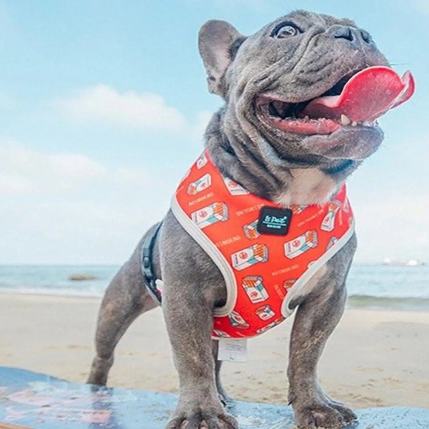 Bond For Love Dog Vest Harness - Tobacco