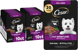 Cesar Filets in Gravy Wet Dog Food Filet Mignon Flavor, 1.76 oz. Mini-Pouch (10 Count, Pack of 2)