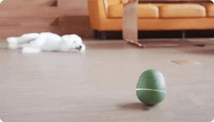 Dancing Egg Shaped Smart Snack Dispenser Dog Toy