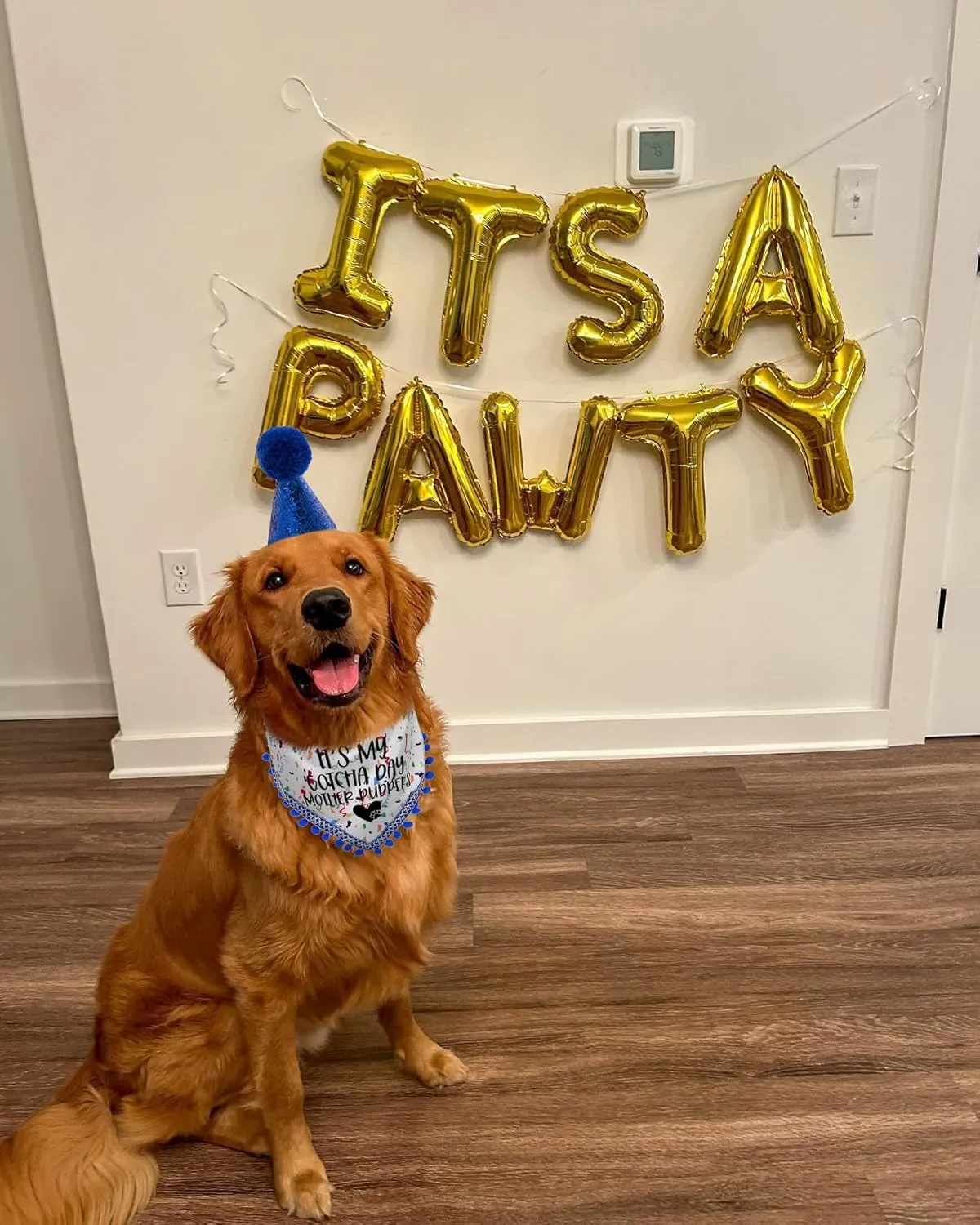 Dog Birthday Hat and Dog Birthday Boy Bandana, Dog Birthday Gift for Dog Lovers, Dog Birthday Outfit for Small Medium Large Dogs