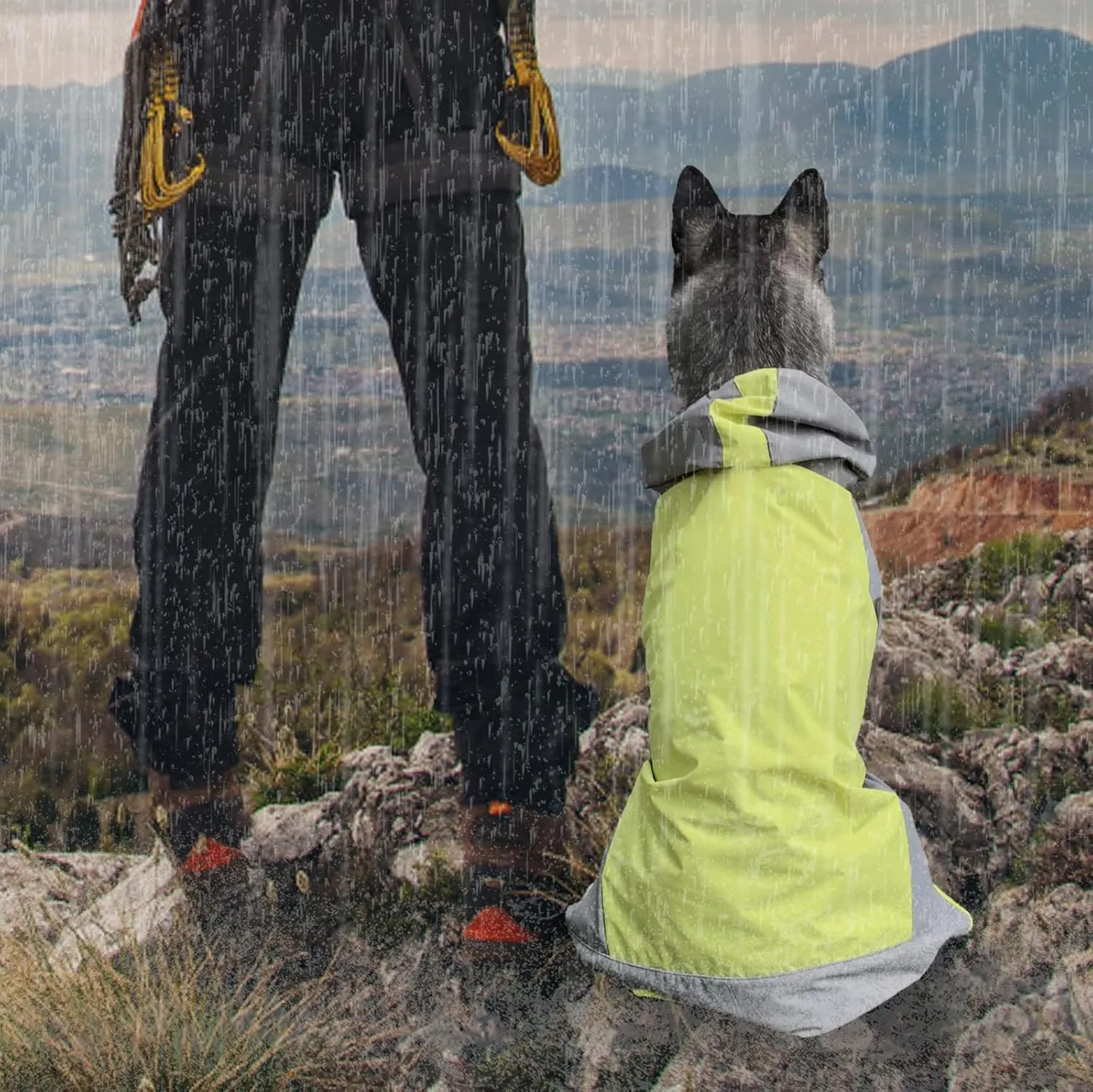 Dog Raincoat,Dog Waterproof Jacket,Reflective Dog Jacket with Hoodie,Lightweight Dog Poncho Slicker,Dog Rain Coat for Medium Large Dogs (Green, XX-Large)