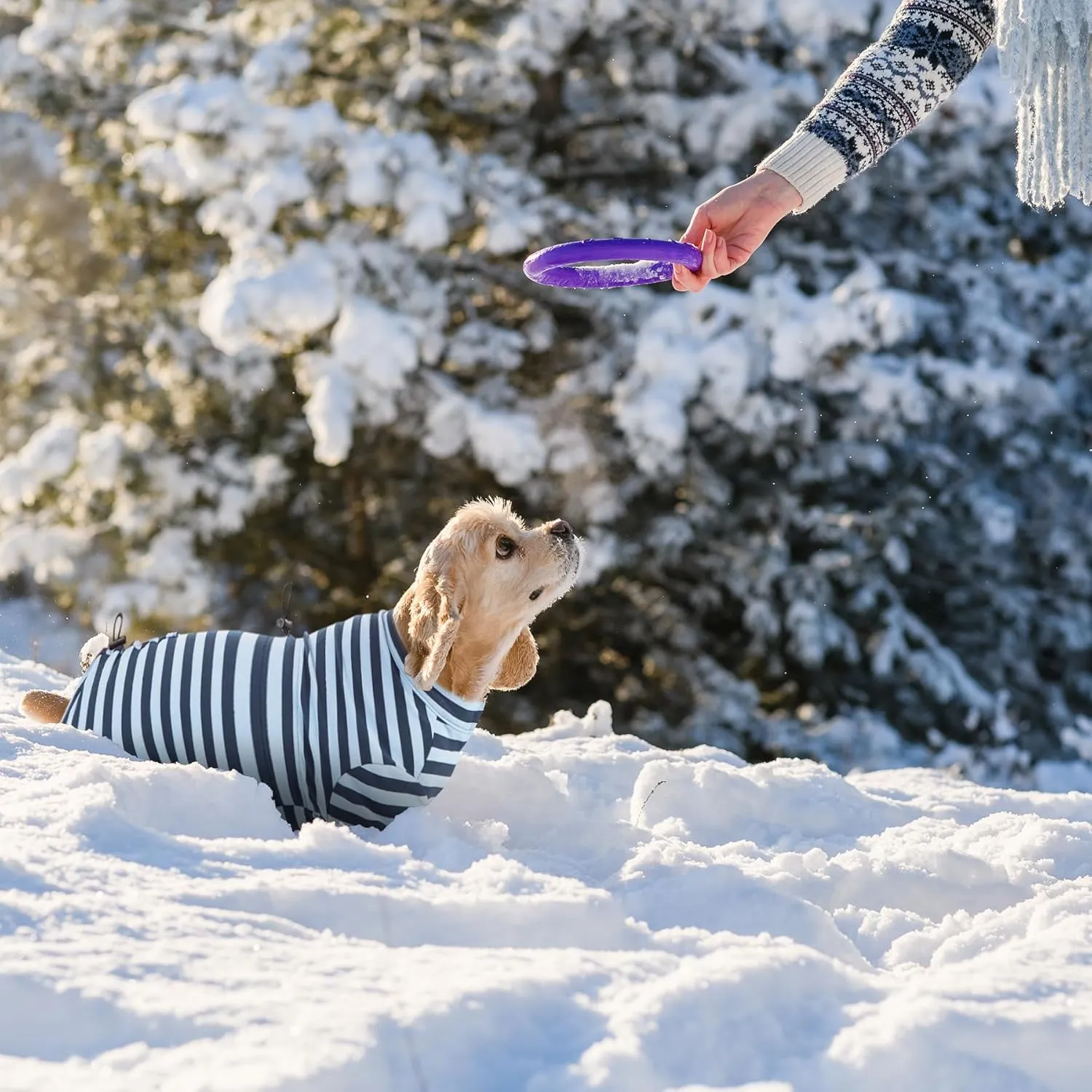 Dog Winter Warmer Fleece Onesie, Bodysuit for Small Medium Large Dogs, Stretchy Cold Weather Pet Warmer Jumpsuit Puppy Onesie Lightweight, Blue Stripe, Small