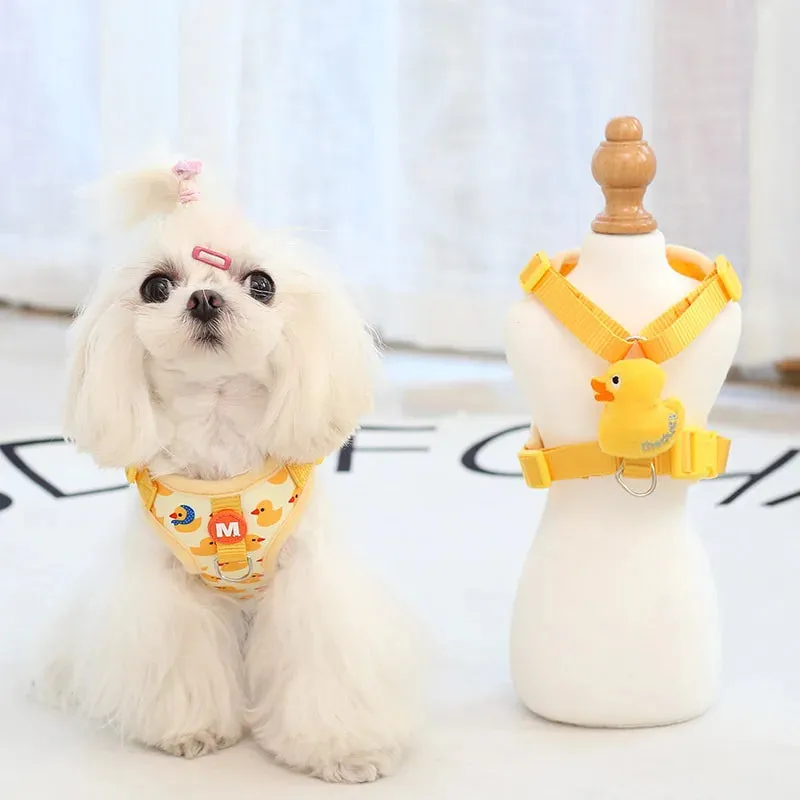 Duck Dog Harness and Leash Set