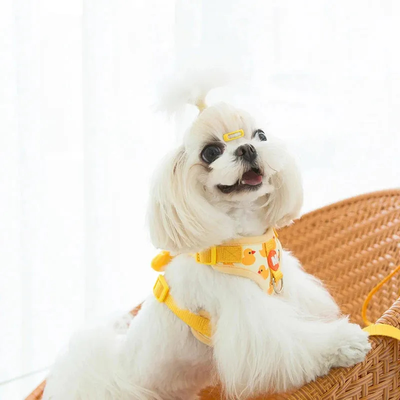 Duck Dog Harness and Leash Set
