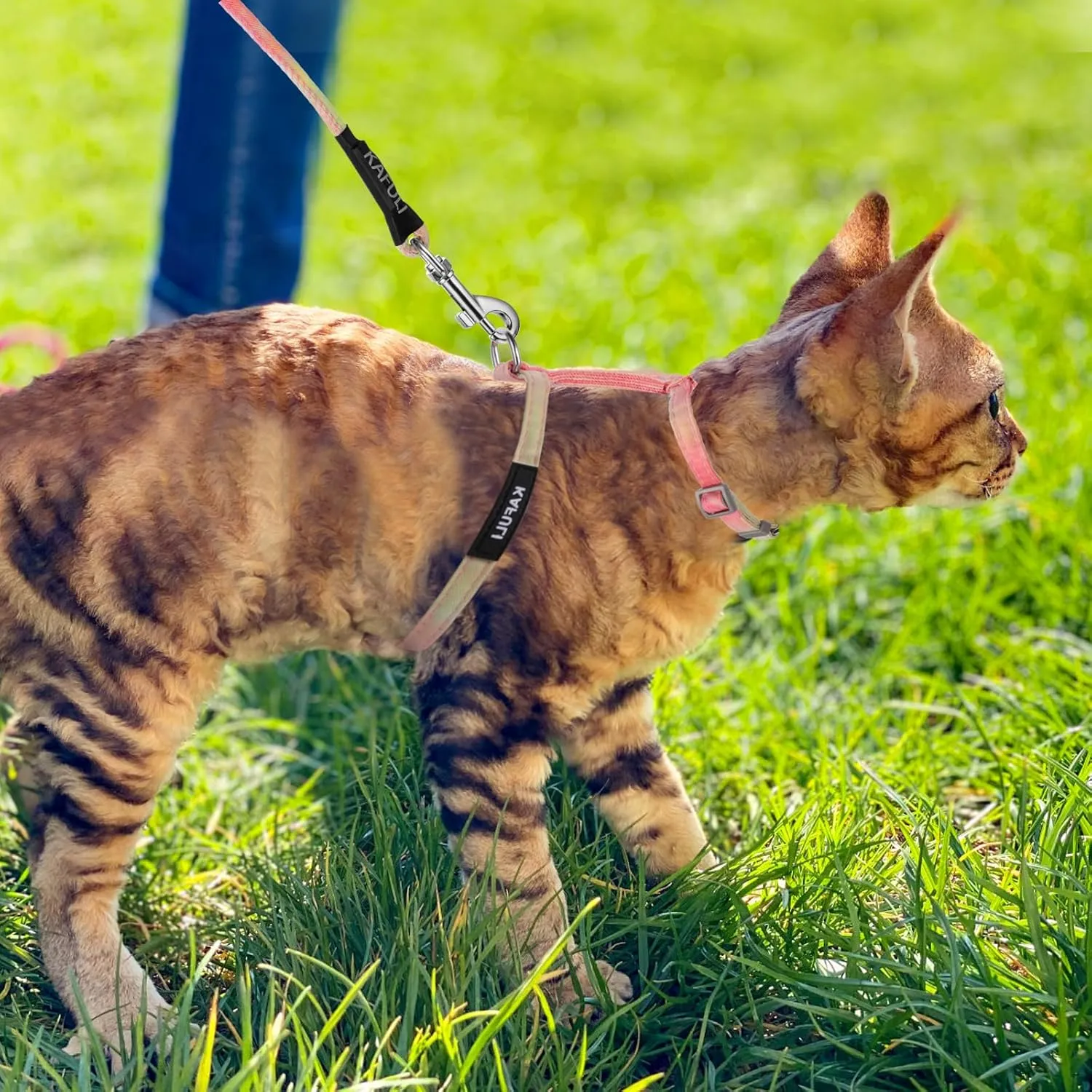 Giantree Cat Harness with Leash and Collar Set, Adjustable H-Shaped Kitten Harness Escape Proof Harness Glow in The Dark for Kitty Outdoor Walking (Orange)