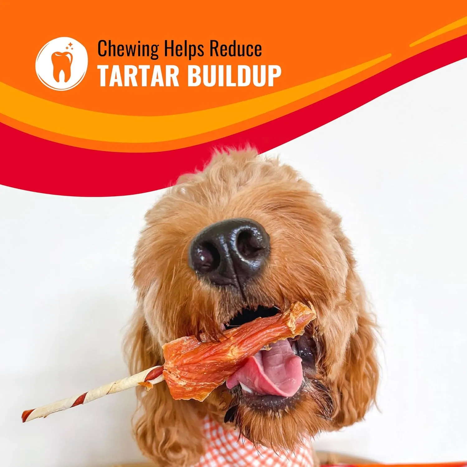 Good n Fun Triple Flavor Rolls for Large Dogs, Treat Your Dog to Long-Lasting Chews Made with Beef Hide, Chicken and Artificial Pork Flavor, 6 Count