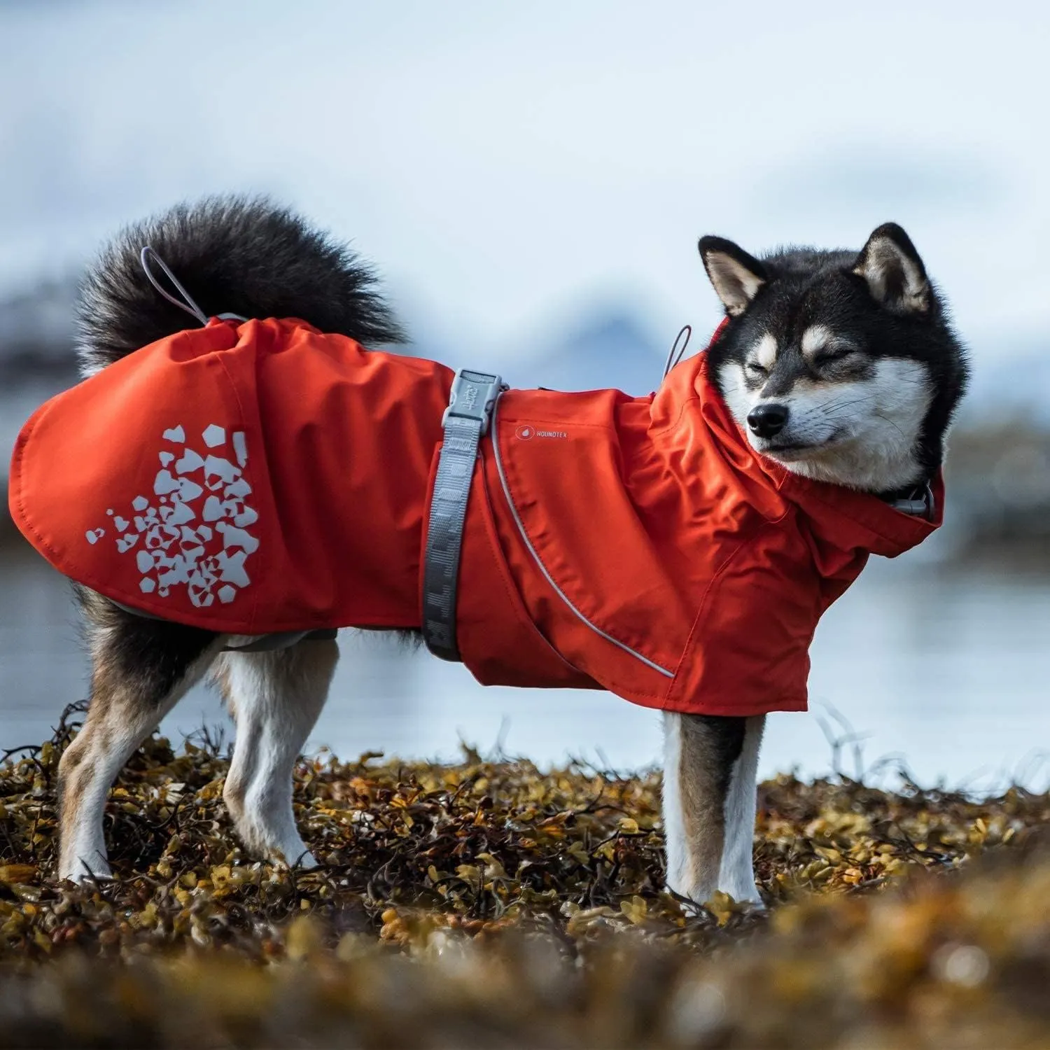 Hurtta Monsoon Coat ECO, Dog Raincoat, Rosehip, 20 in