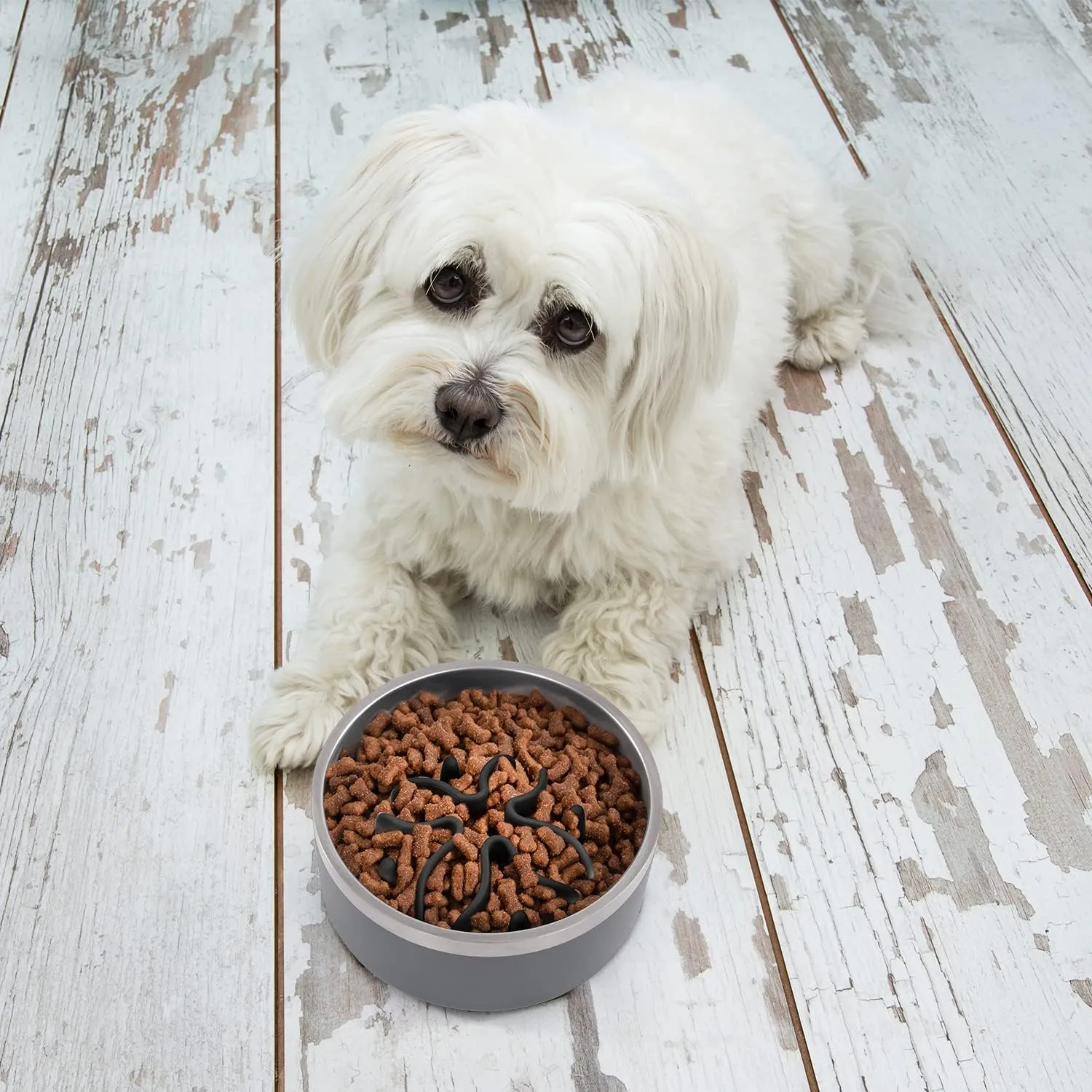 Jaoul Small Breed Slow Feeder, Puzzle Slow Feeder with 21 Octopus Suction Cups for Small Dog Bowls Insert 4" (Black)