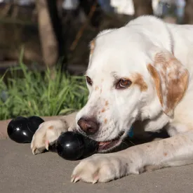 KONG GOODIE BONE EXTREME