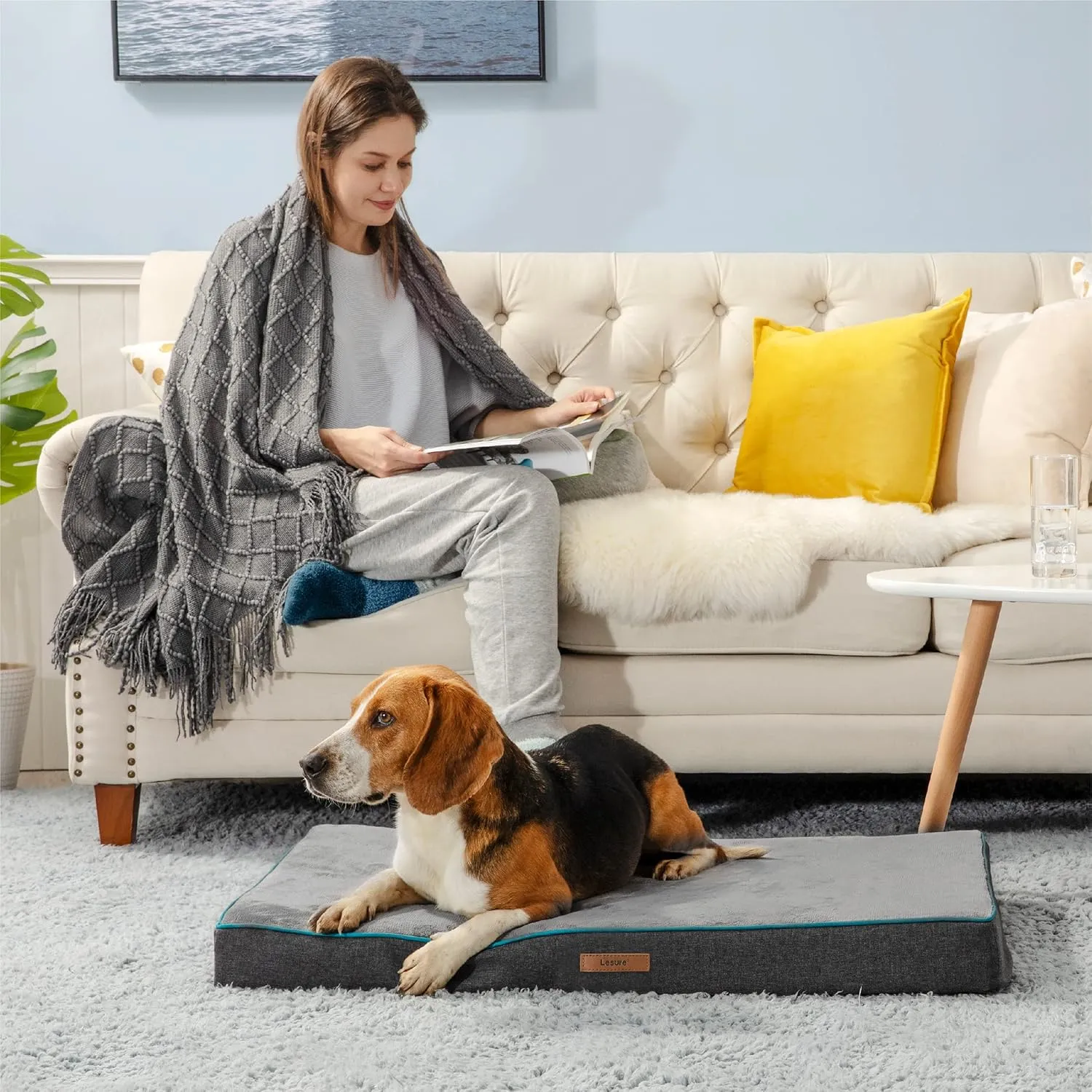 Lesure Dog Bed Cover Flannel Medium Washable Plush Fleece Replacement Cover for Orthopedic Pet Mat 29x18x3 Inches, Grey