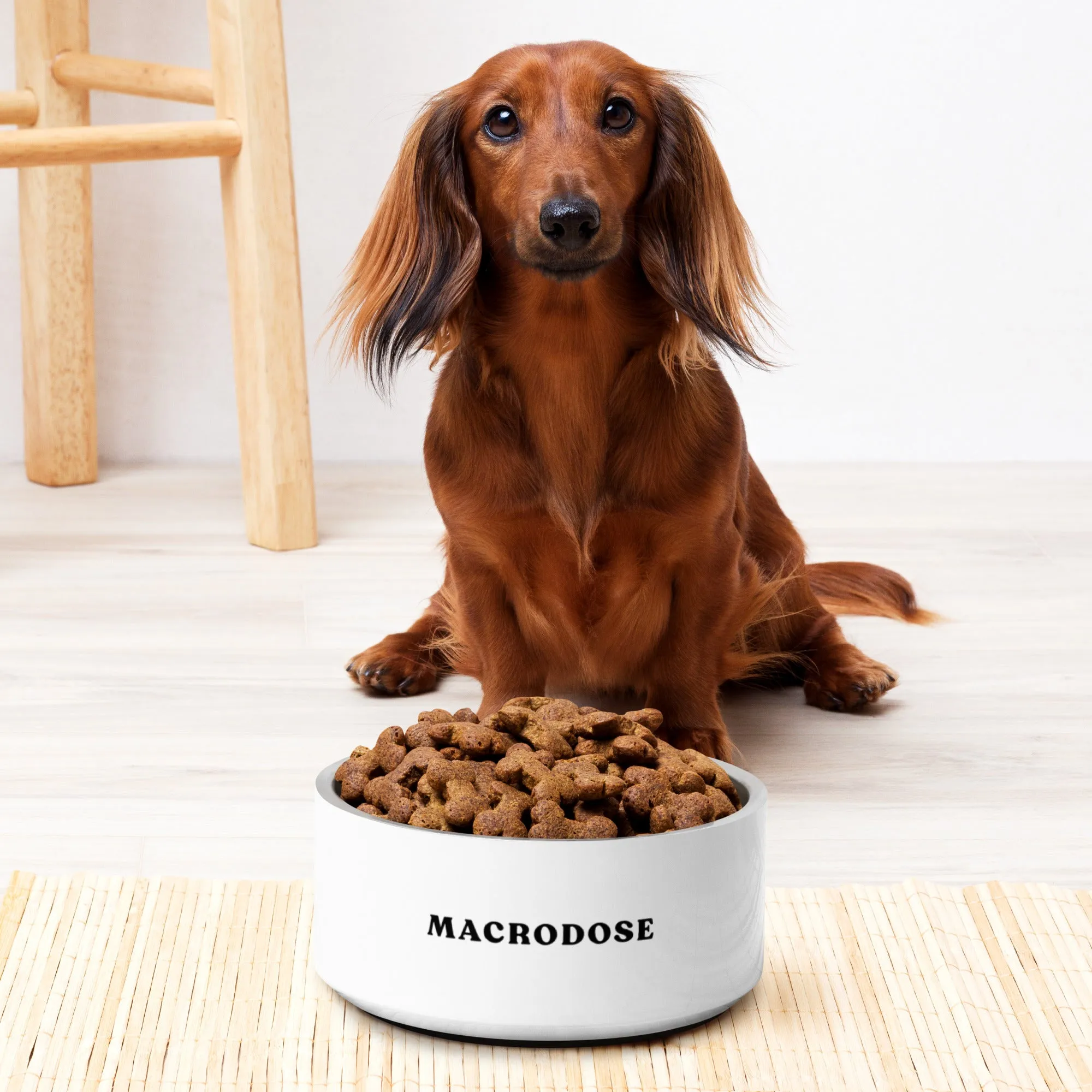 Macrodose Pet Bowl