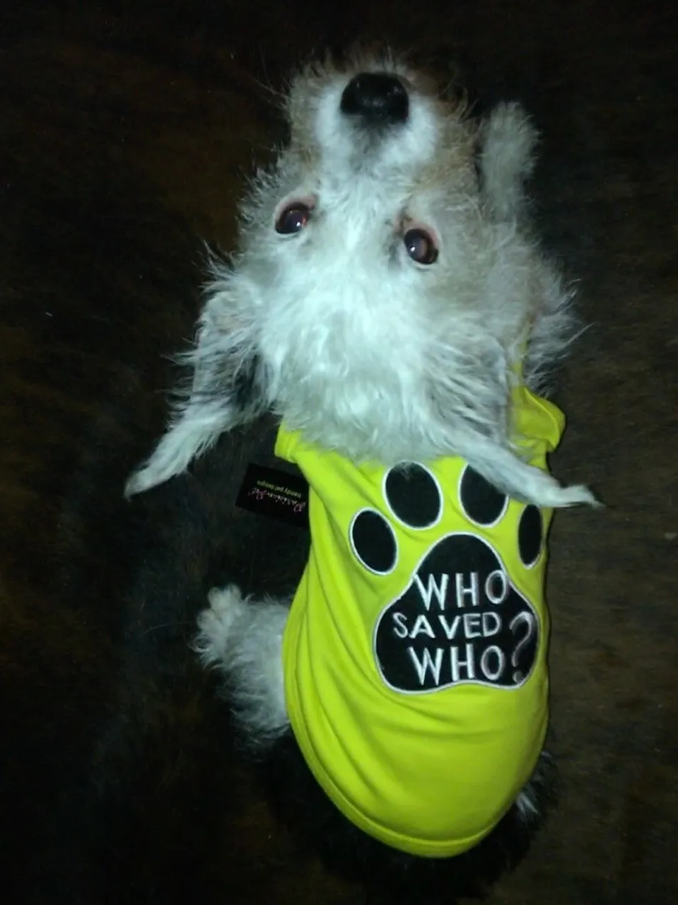 Parisian Pet Barking Diva Embroidered Tshirt