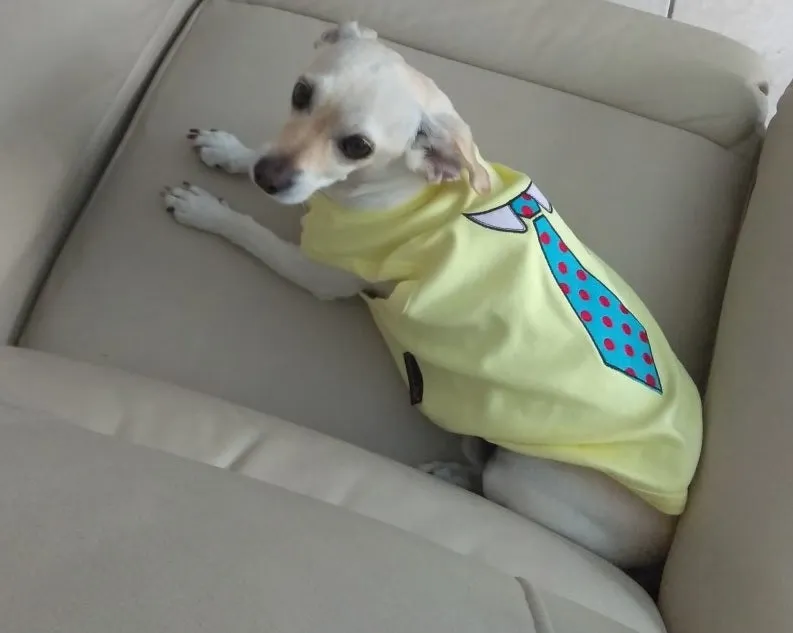 Parisian Pet Size Matters Embroidered Tshirt