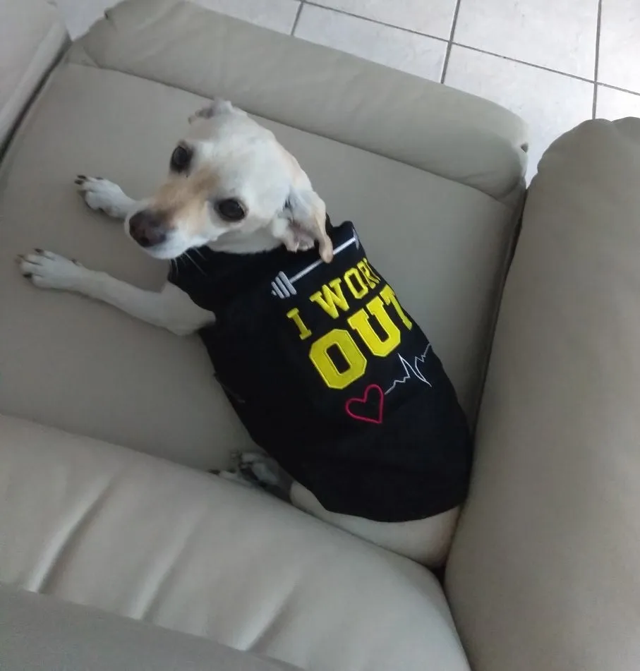 Parisian Pet Size Matters Embroidered Tshirt