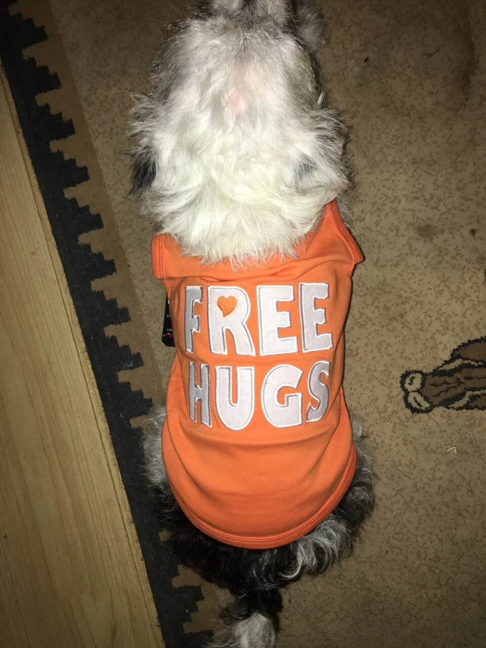 Parisian Pet Size Matters Embroidered Tshirt