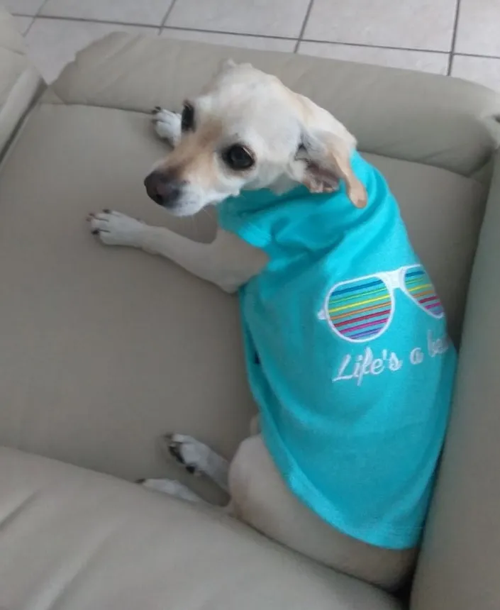 Parisian Pet Size Matters Embroidered Tshirt