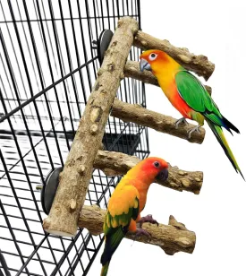 Parrot Wood Stand,10 Inch Long Bird Cage Wood Perch Toys, Natural Bird Ladder for Small & Medium Parrots, Monk Parakeets, Cockatiels,Sun Conure, Green Cheeks, Lovebirds,Budgie