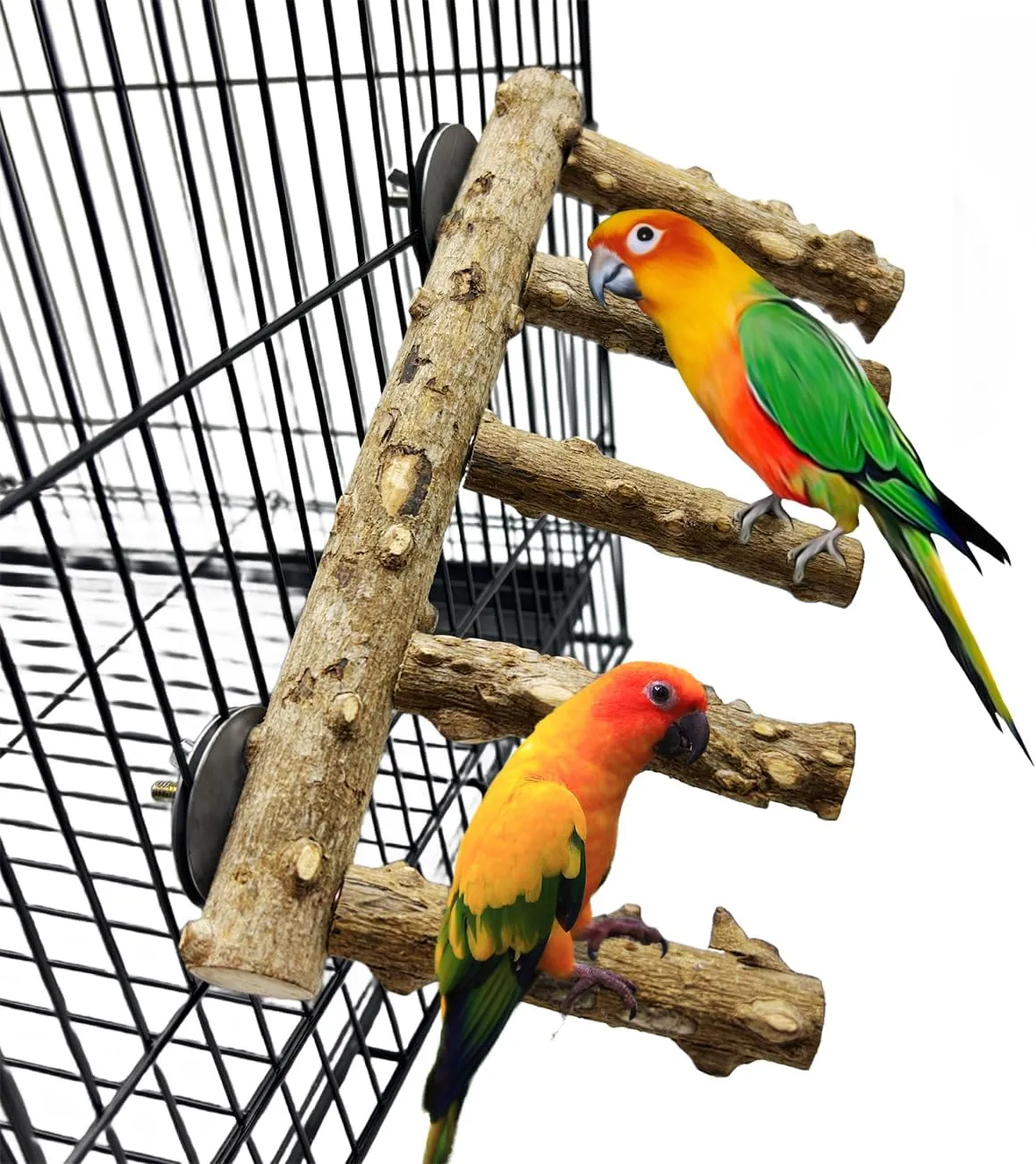 Parrot Wood Stand,10 Inch Long Bird Cage Wood Perch Toys, Natural Bird Ladder for Small & Medium Parrots, Monk Parakeets, Cockatiels,Sun Conure, Green Cheeks, Lovebirds,Budgie