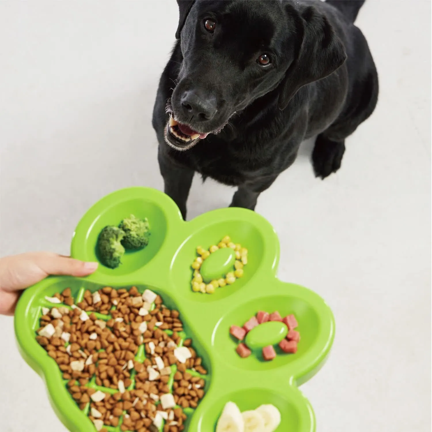 PAW Slow Feeder Dish - Healthy & Fun Eating w/ 5-in-1 Design, Slows Down Eating, for Wet or Dry Foods, Non-Slip Base, BPA-Free - Perfect for Dogs, Puppies & Multi-Pet, Green