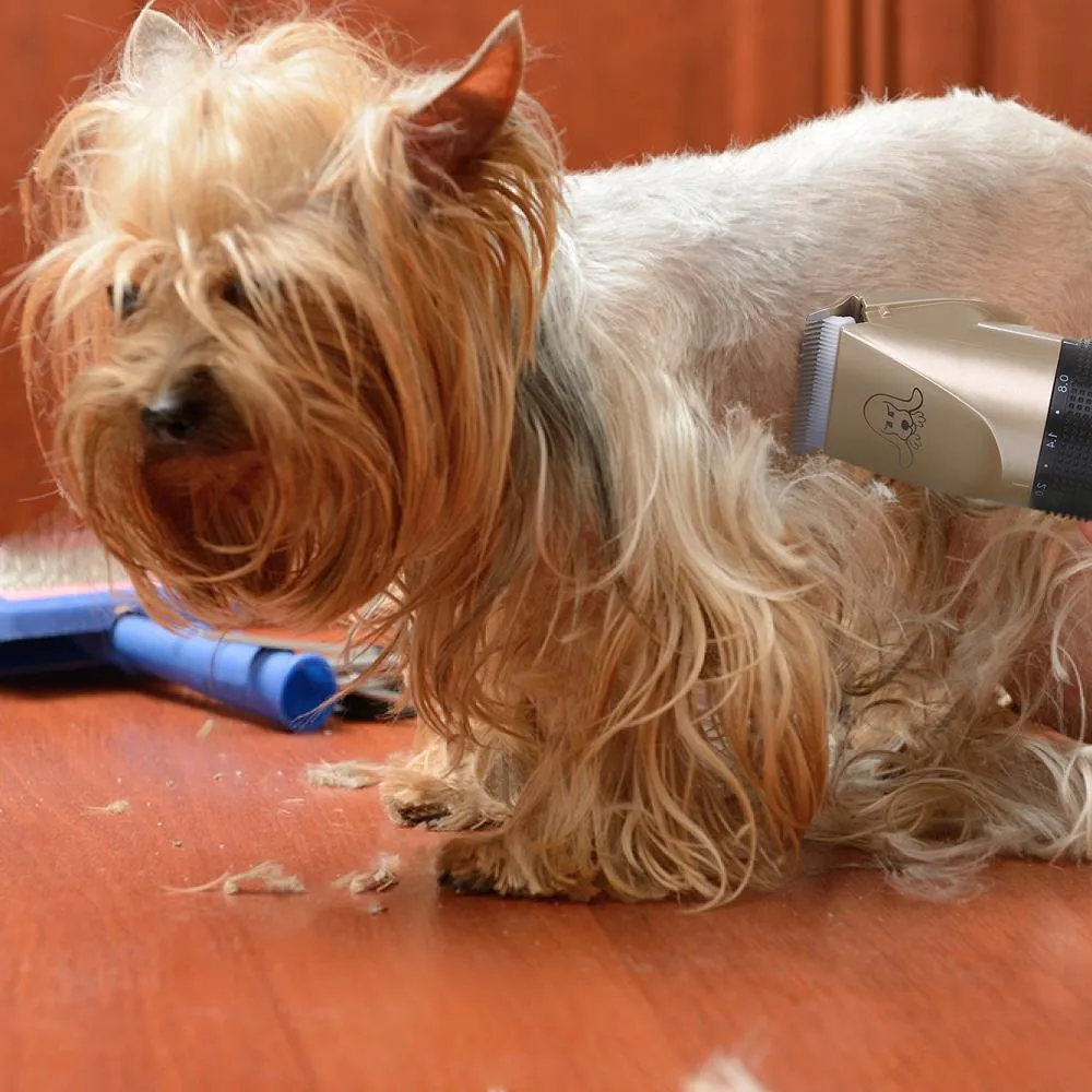 Pet Hair Trimmer Kit - Ultra Low Noise - Cordless - Rechargeable Dog Hair Trimmer