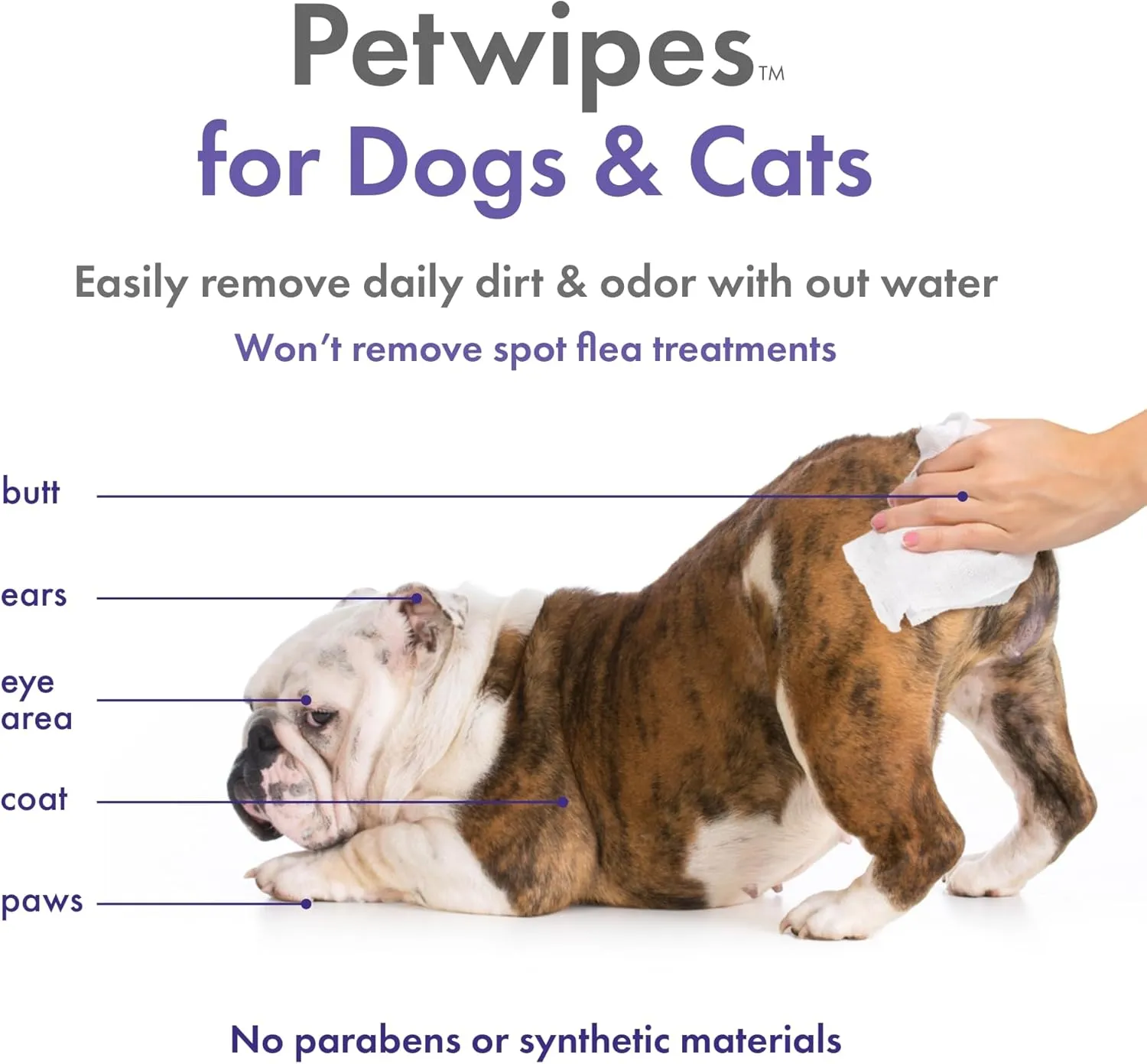 Petkin Plant-Based PetWipes, 200 Wipes - Biobased, Sustainable, Big & Thick Pet Wipes for Dogs & Cats - for Face, Paws, Ears, Body & Eye Area - Consciously Cleans & Conditions - Lavender
