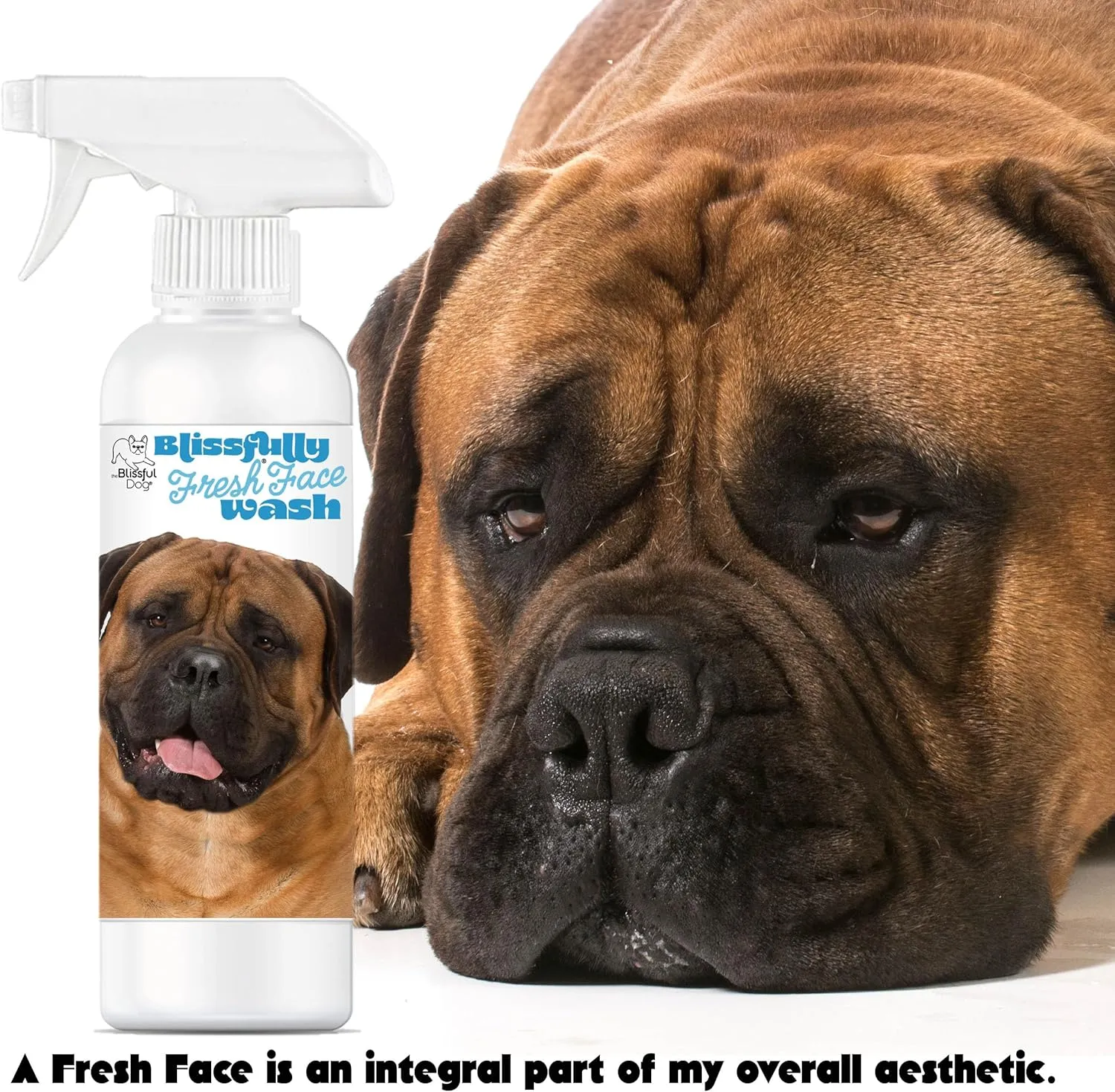 The Blissful Dog Blissfully Fresh Face Wash - Cleans Facial Folds and Wrinkles, 8-Ounce, Bullmastiff