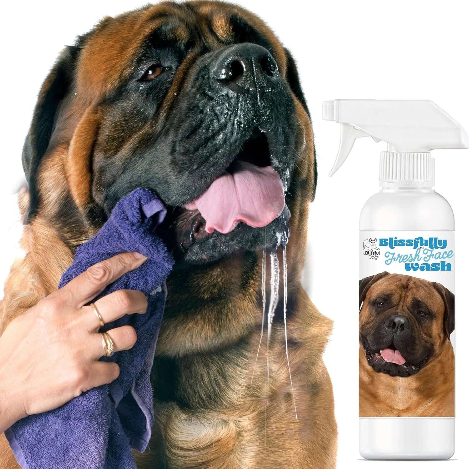 The Blissful Dog Blissfully Fresh Face Wash - Cleans Facial Folds and Wrinkles, 8-Ounce, Bullmastiff