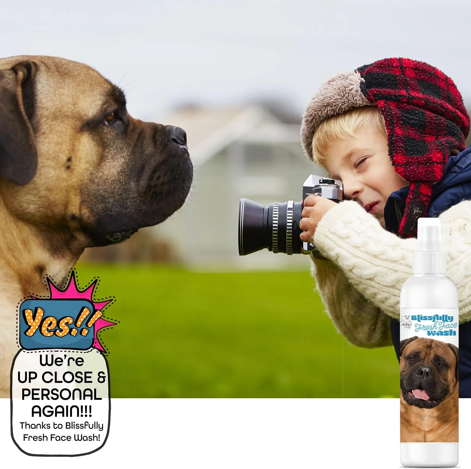 The Blissful Dog Blissfully Fresh Face Wash - Cleans Facial Folds and Wrinkles, 8-Ounce, Bullmastiff