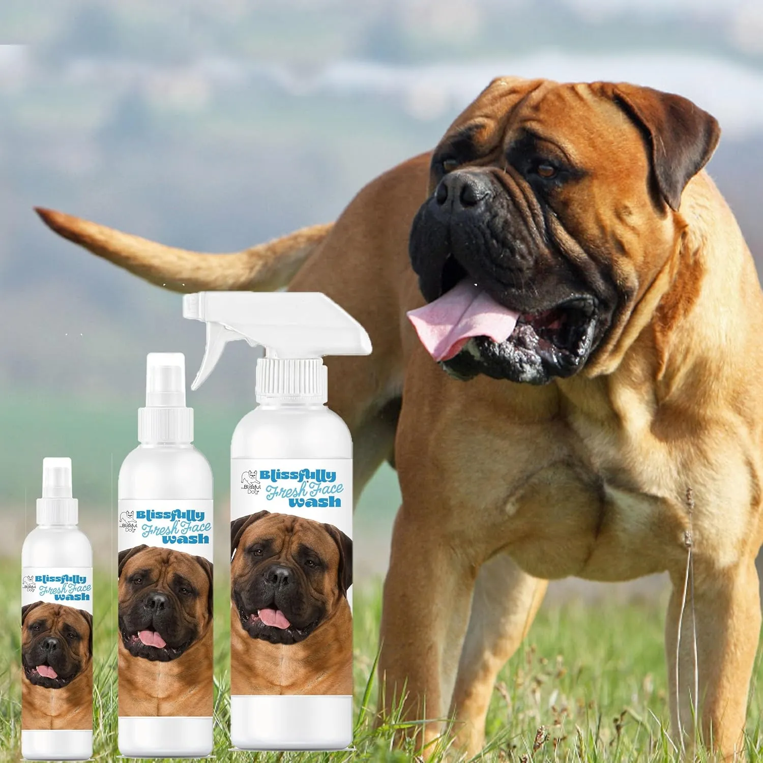 The Blissful Dog Blissfully Fresh Face Wash - Cleans Facial Folds and Wrinkles, 8-Ounce, Bullmastiff