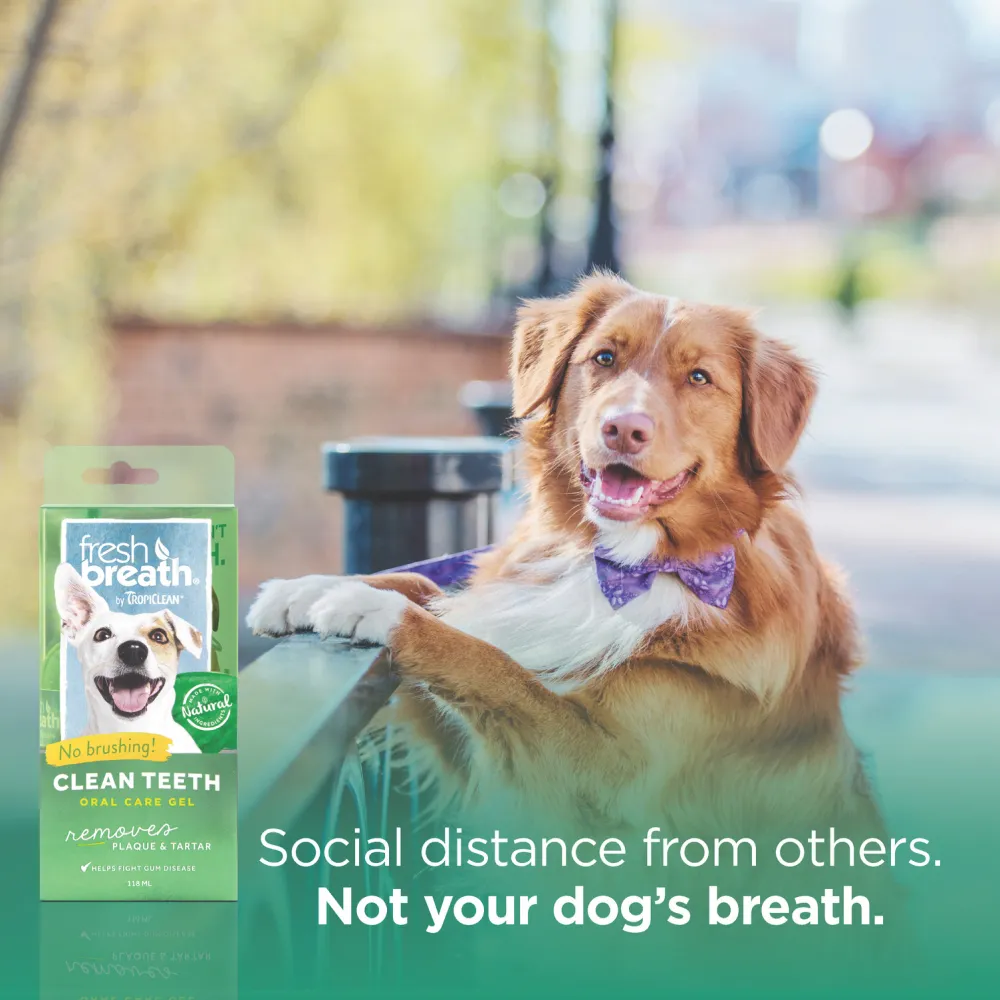 Tropiclean Fresh Breath Clean Teeth Brushing Gel For Dogs