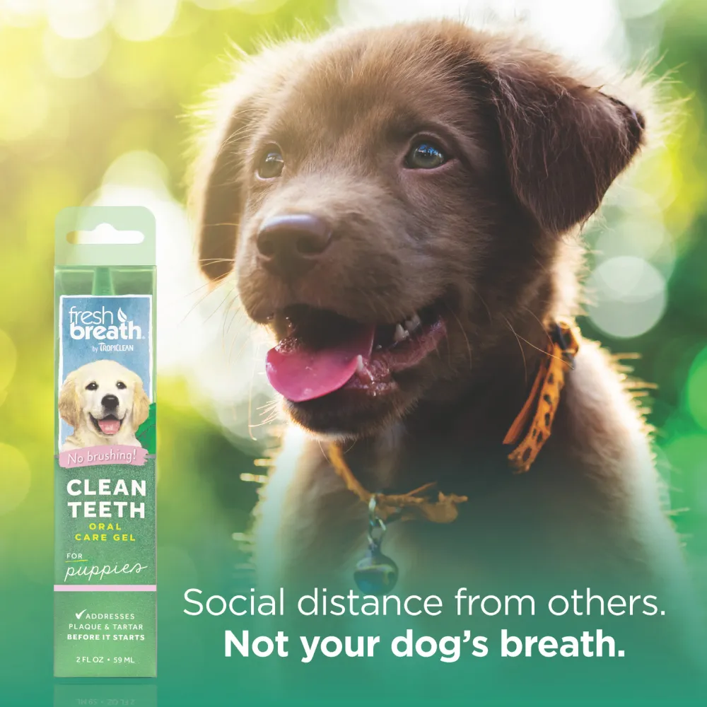 Tropiclean Fresh Breath Clean Teeth Brushing Gel For Dogs