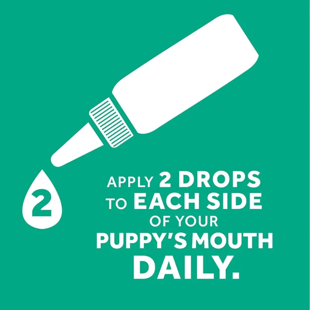 Tropiclean Fresh Breath Clean Teeth Brushing Gel For Dogs