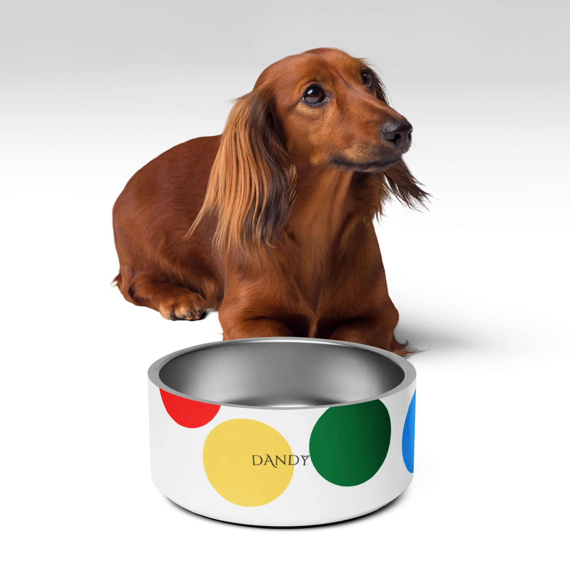 Twisted Pet bowl