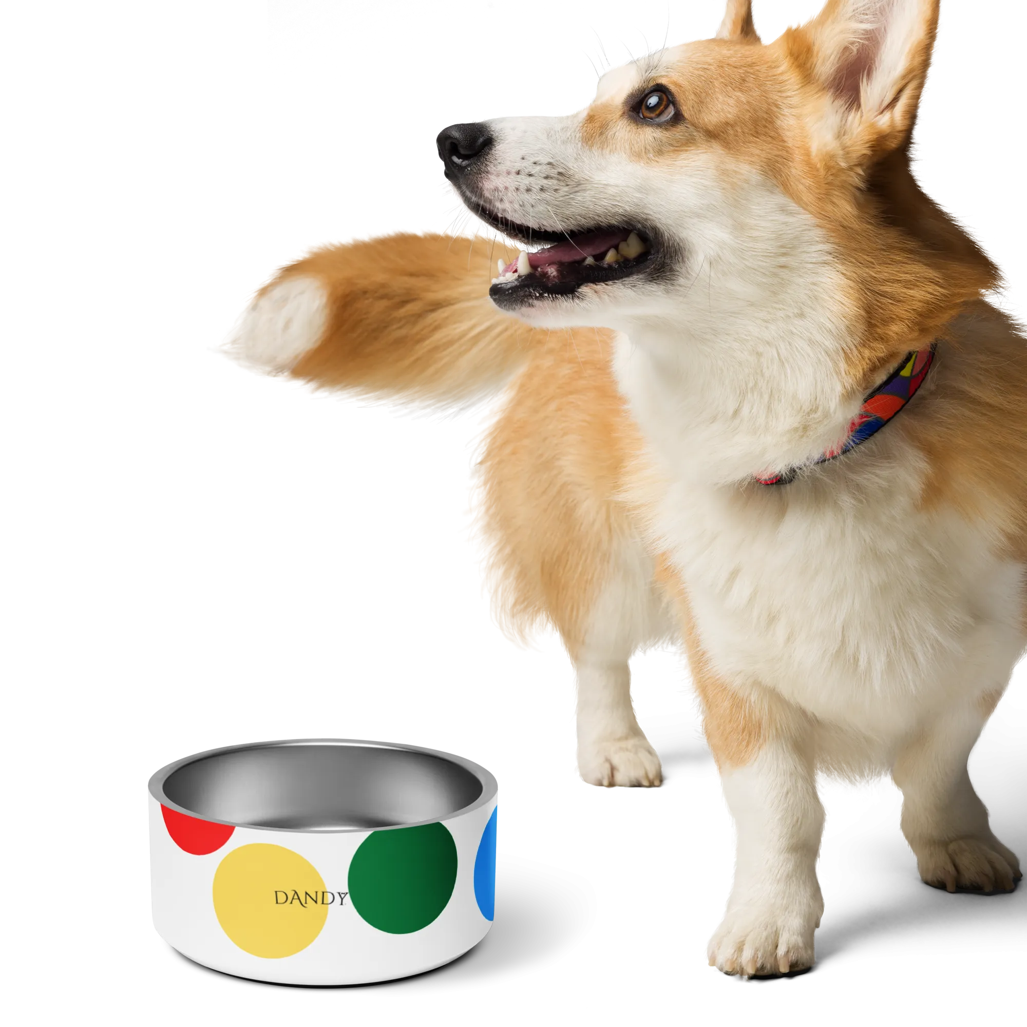 Twisted Pet bowl
