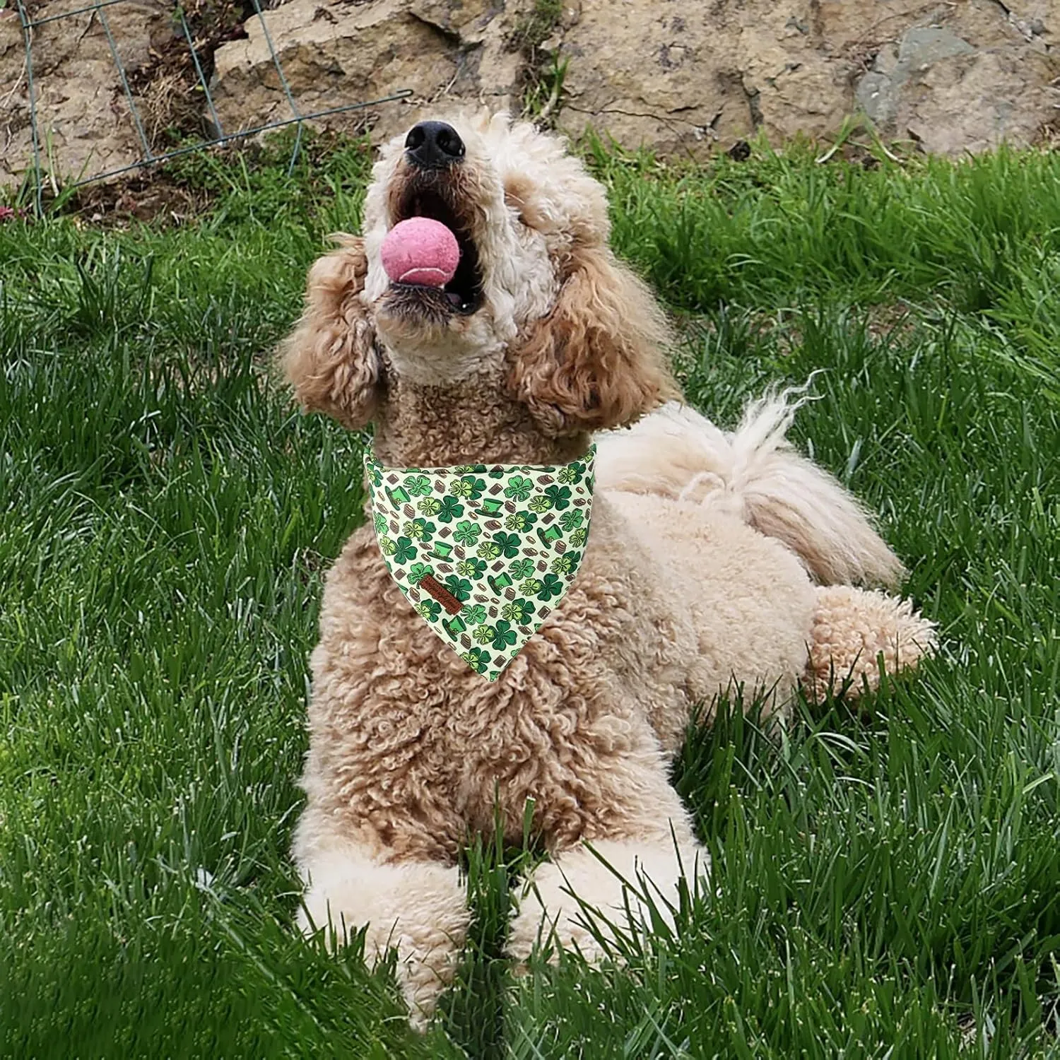 Unique Style Paws Dog St. Pat Bandanas 2Pcs Washable Cotton Triangle Colorful Clover Magic Hat Dog Scarfs for Small Medium Large Dogs and Cats