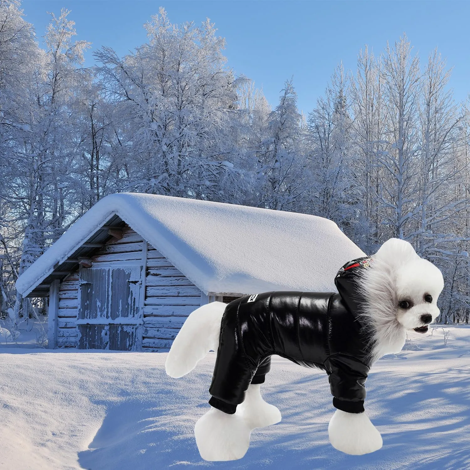 Waterproof Pet Clothes for Winter Warm Dog Jacket Coat Hooded Jumpsuit Snowsuit (L, Black)