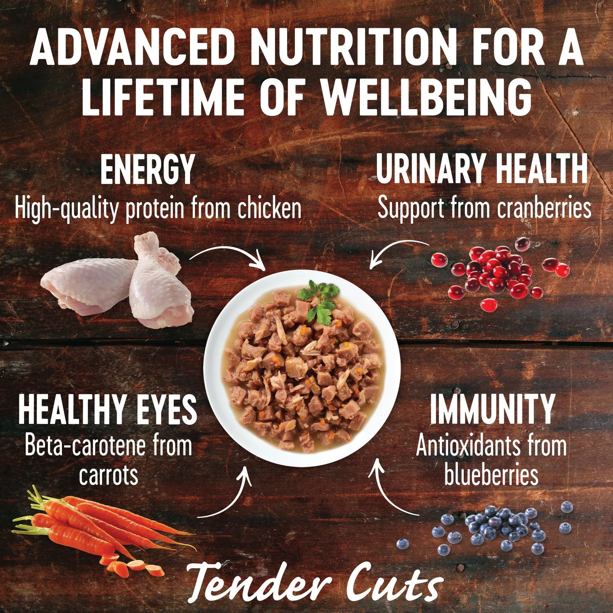 Wellness CORE Tender Cuts with Chicken and Chicken Liver in Gravy Wet Cat Food 85g x 8^^^