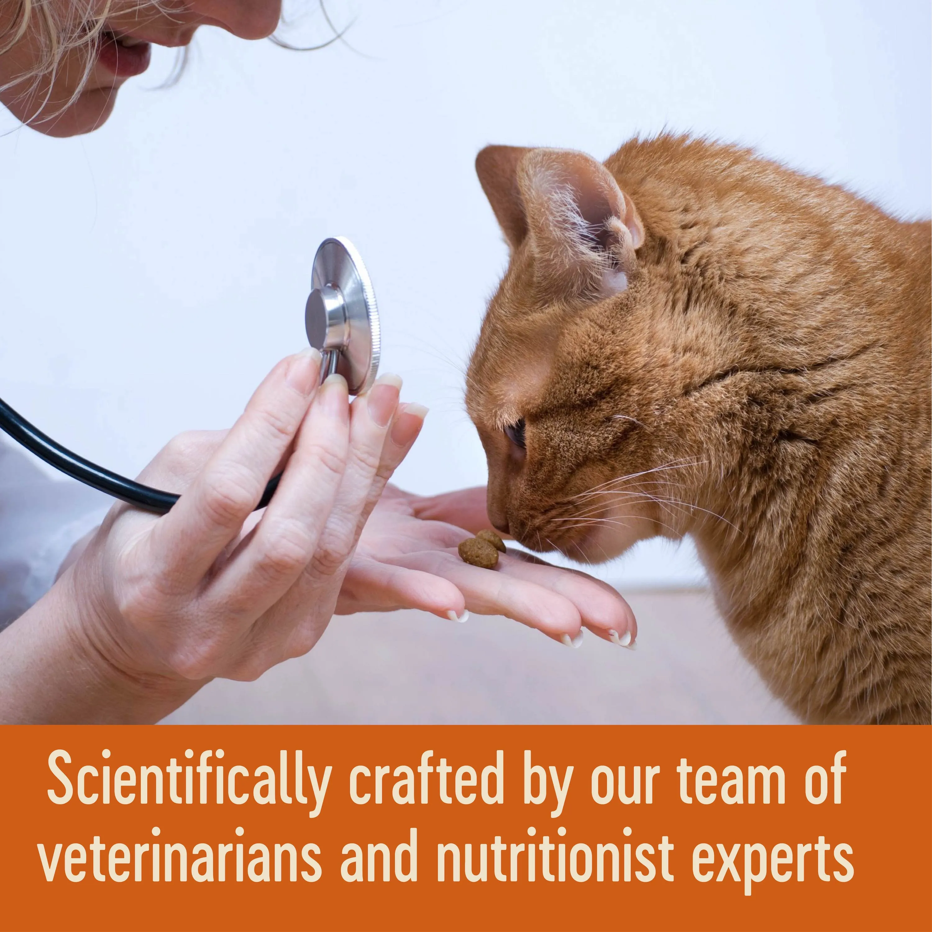 Wellness CORE Tender Cuts with Chicken and Chicken Liver in Gravy Wet Cat Food 85g x 8^^^