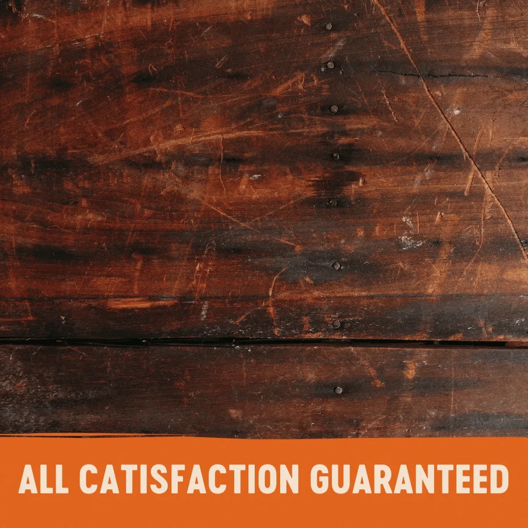 Wellness CORE Tender Cuts with Chicken and Chicken Liver in Gravy Wet Cat Food 85g x 8^^^