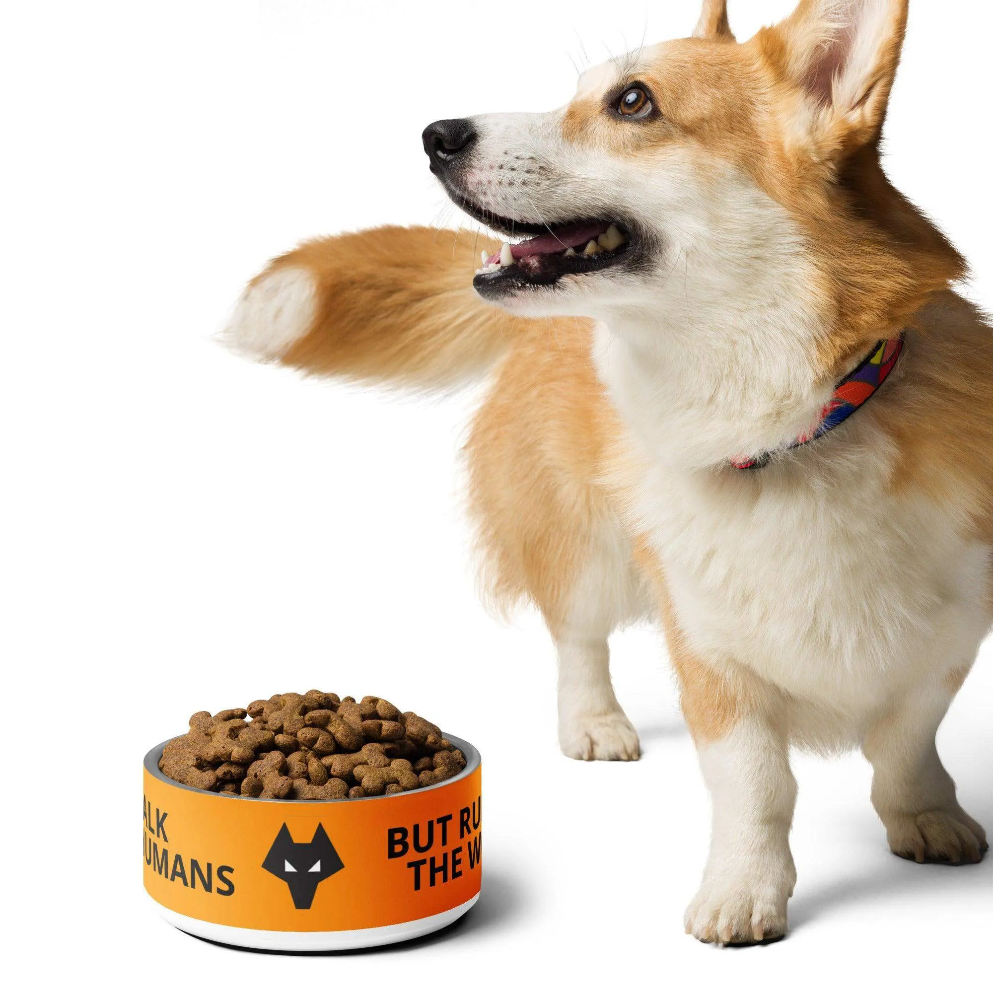 Wolves Dog bowl